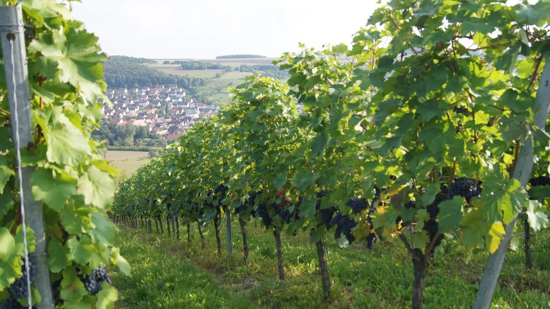 Krone Das Hotel Tauberrettersheim
